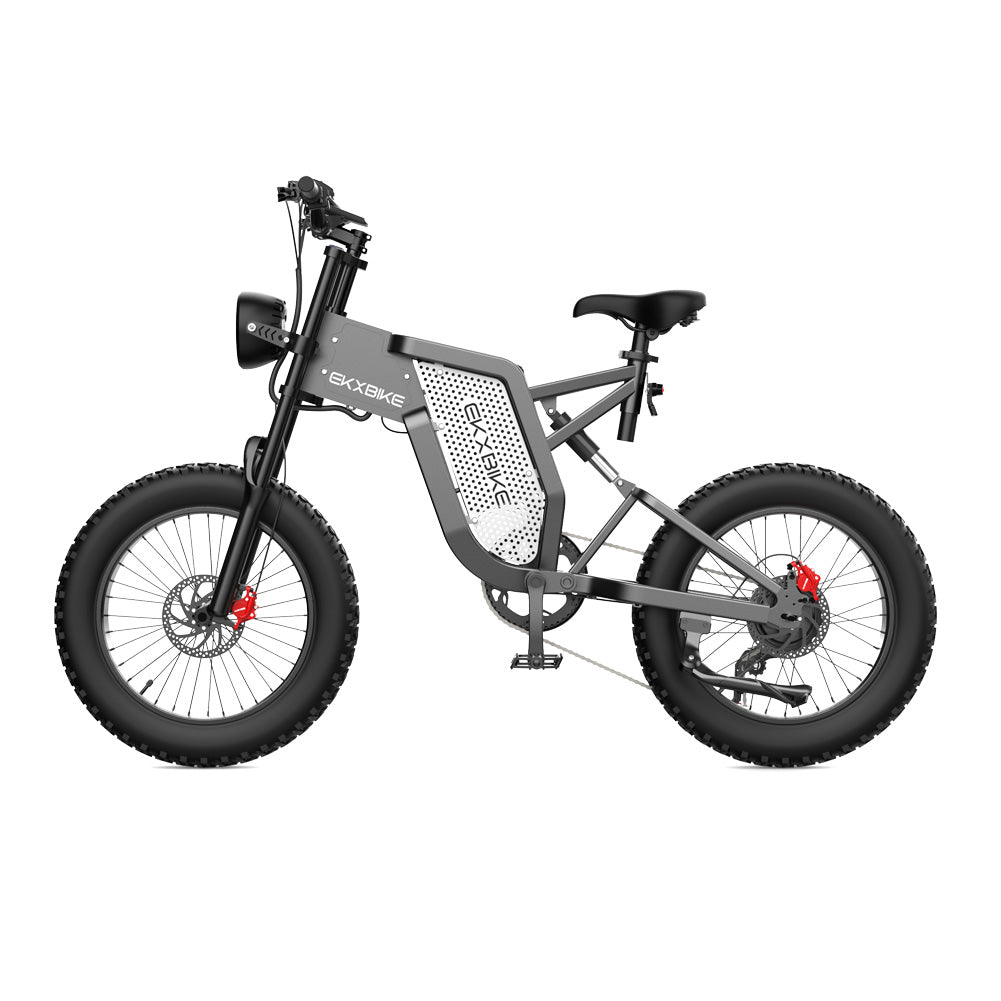 X20 Electric Mountain Bike Side View