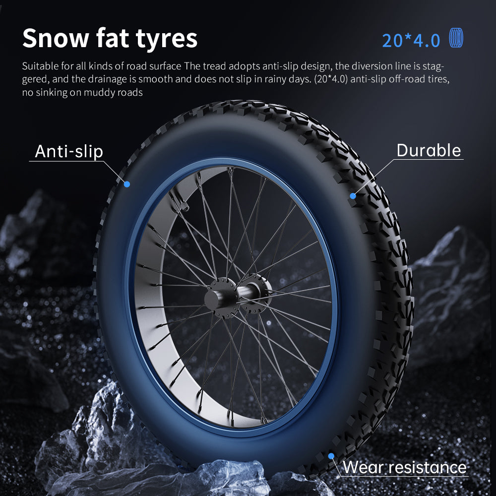 20*4.0 fat tyre from electric bike ekx t1