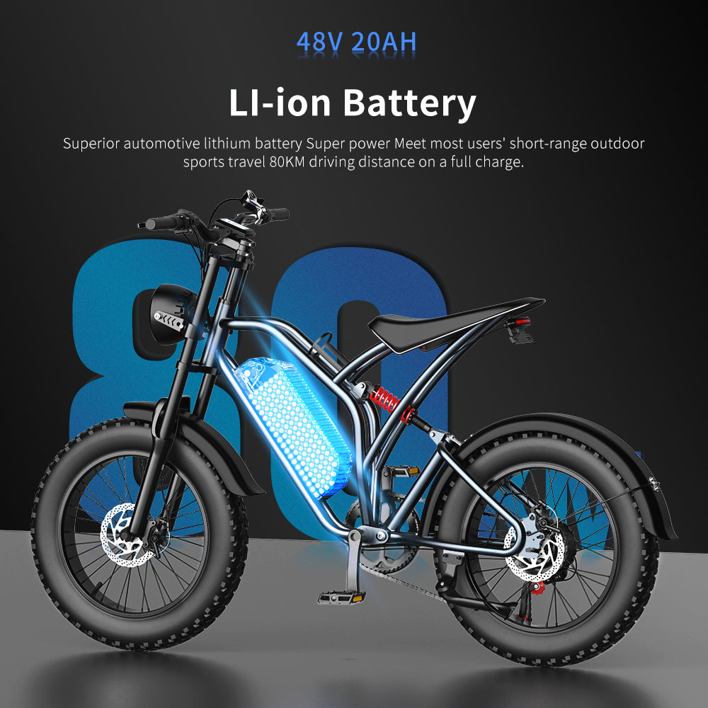 48V 20Ah battery from electric bike ekx t1