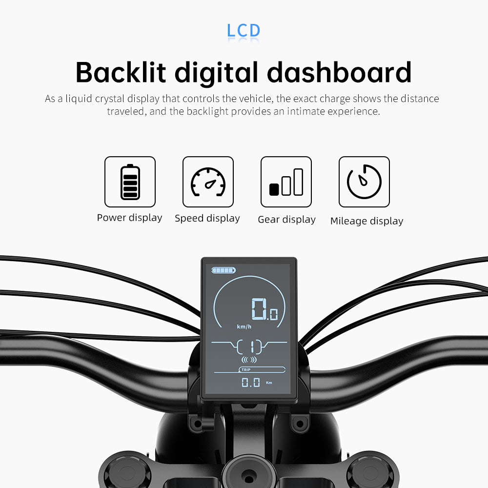 LCD display from electric bike ekx t1
