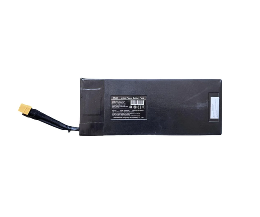 iScooter W8 48V14Ah Battery