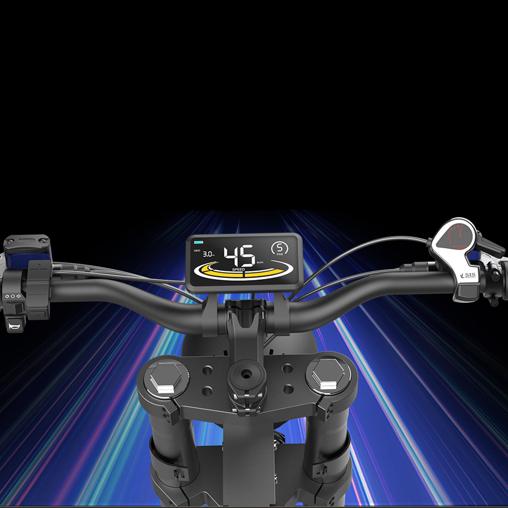 display detail of ebxbike e-bike x21