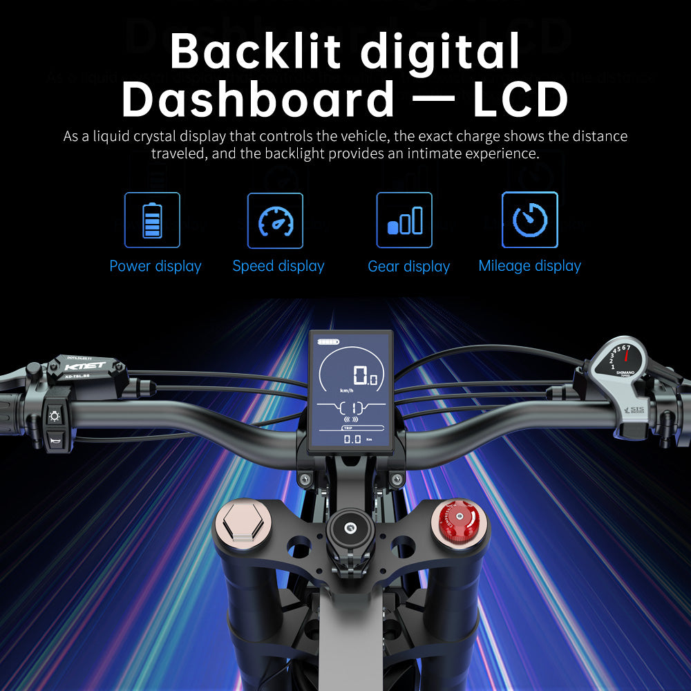 LCD display from electric bike ekx x21 max