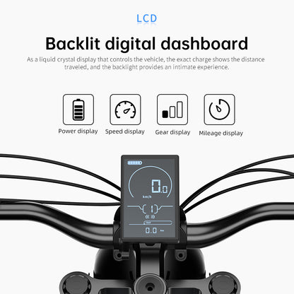 LCD display from electric bike ekx t1